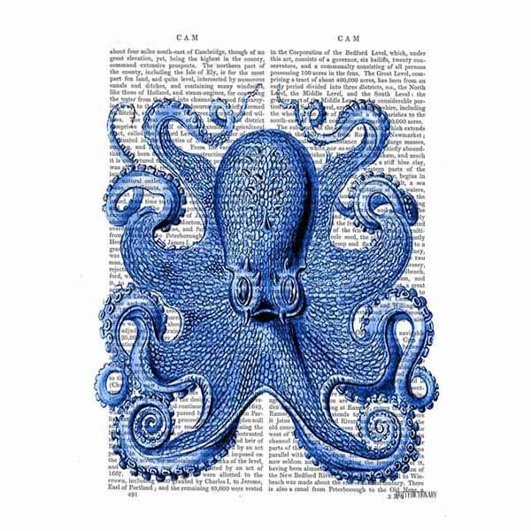 Vintage Blue Octopus Front – StudioArtique